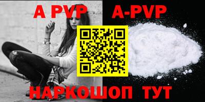 стаф Донской